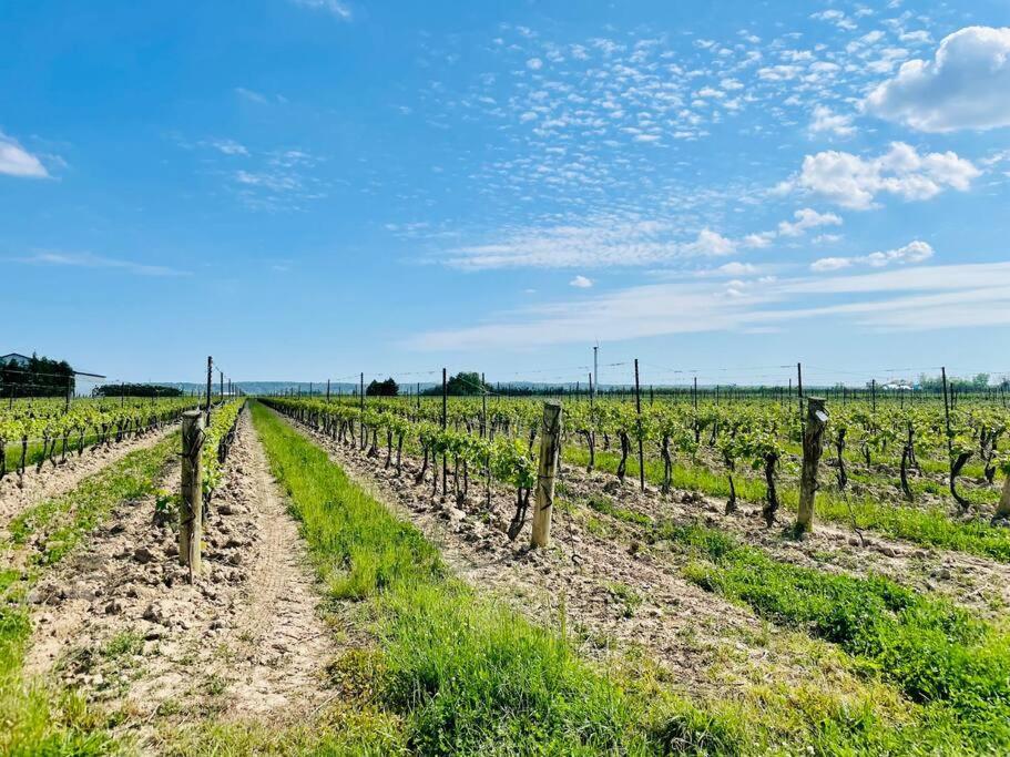 Waterfront Niagara-On-The-Lake Farmhouse On A Vineyard Villa Bagian luar foto